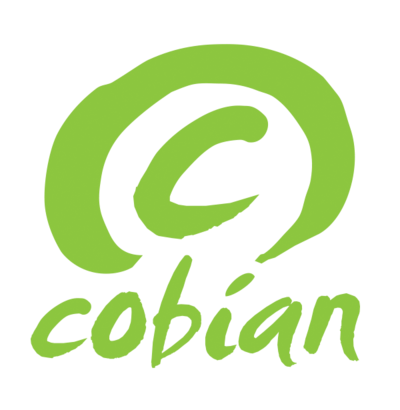 Cobian flip flops