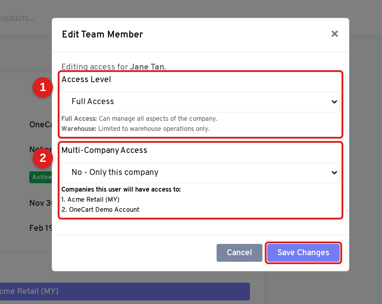Edit Team Member window showing the Access Level and Multi-Company Access fields