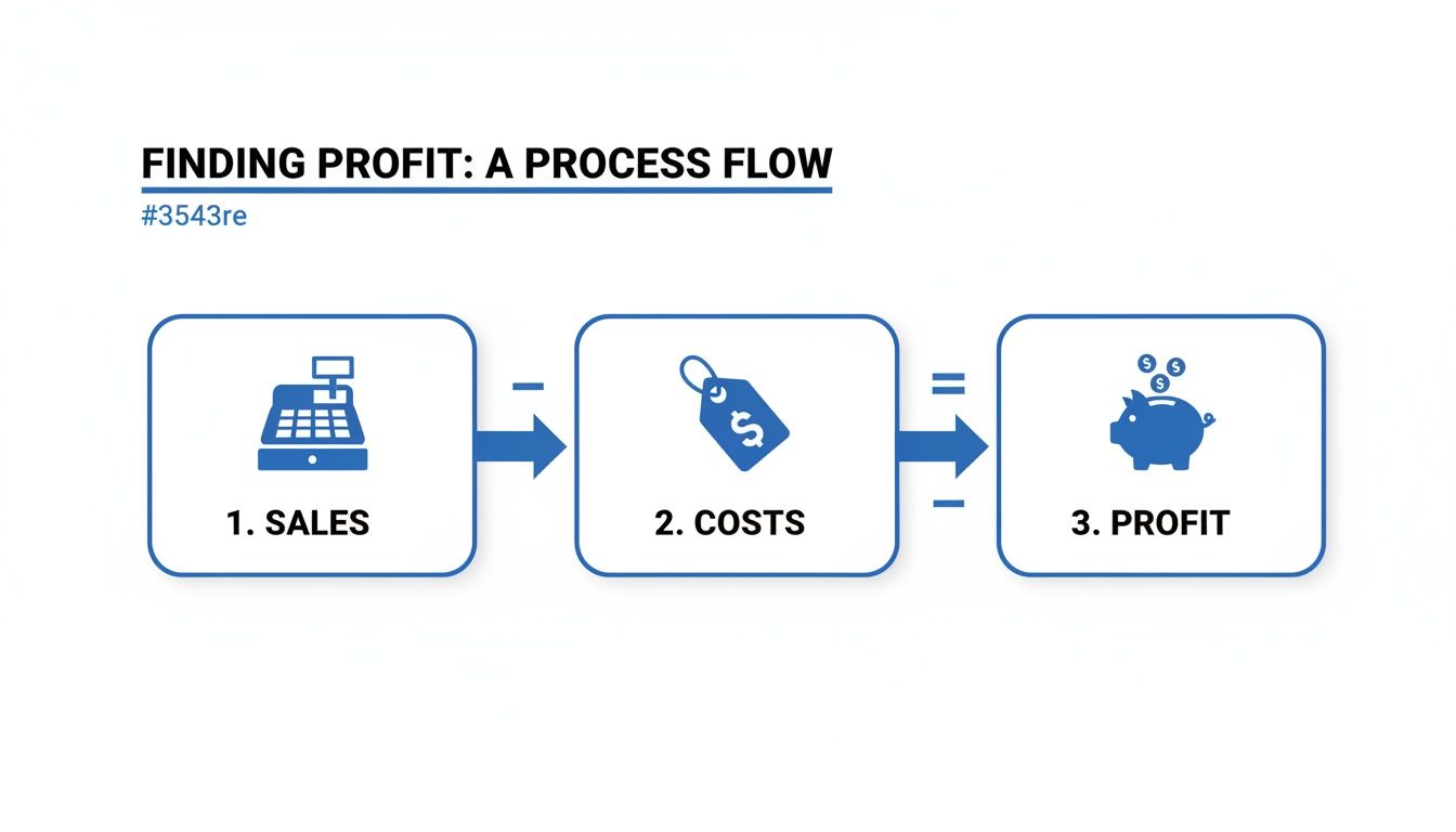 A flowchart showing &lsquo;Finding Profit: A Process Flow&rsquo;. Sales minus Costs equals Profit, with icons.