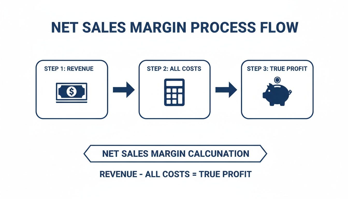 A process flow diagram illustrating net sales margin calculation: Revenue minus All Costs equals True Profit.